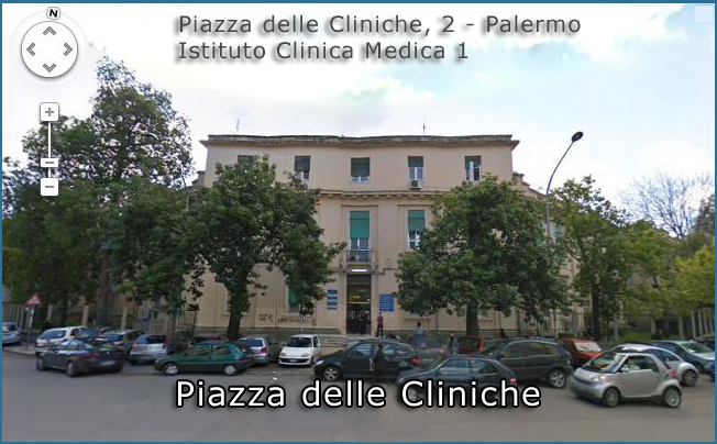 Piazza delle Cliniche, 2 - 90127 - Palermo (PA)